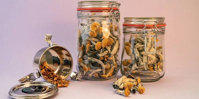 How Much Do Shrooms Cost