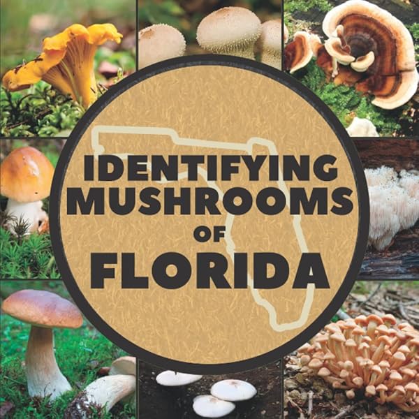 Florida Magic Mushrooms