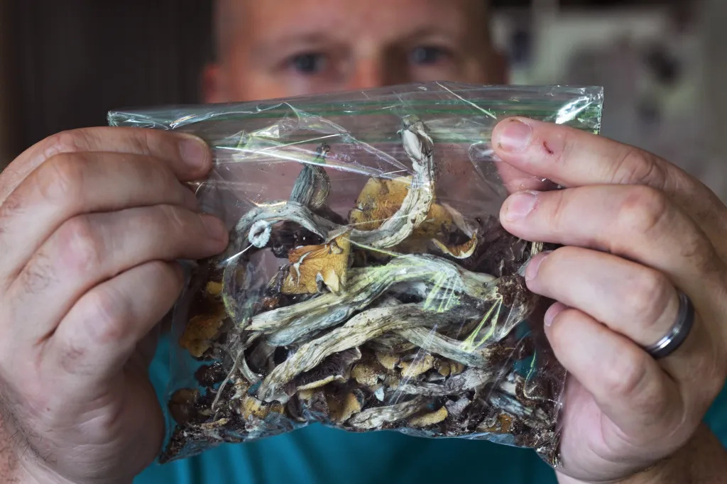 Illinois Magic Mushrooms