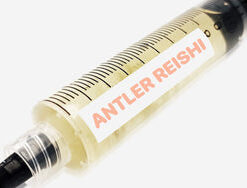 Antler Reishi Liquid Culture Syringe 10mL