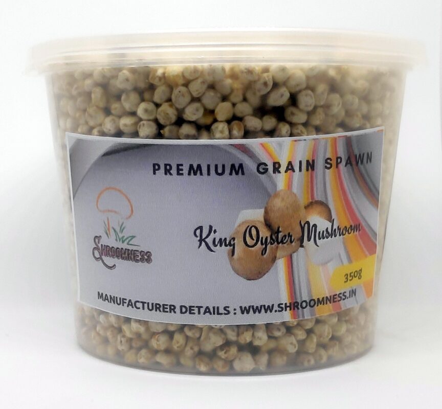 Buy Mushroom Seeds