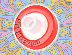 PTFE 0.22um Syringe Filter ( 13mm ) - Hydrophobic