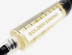 Golden Enoki Liquid Culture Syringe 10mL