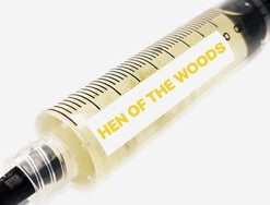 Hen of the Woods Liquid Culture Syringe 10mL