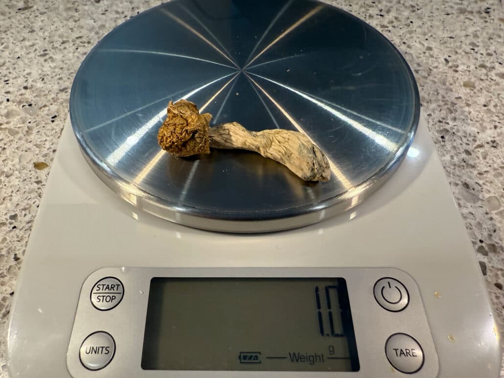 How Much for a Gram of Shrooms