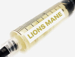 Lions Mane Liquid Culture Syringe 10mL