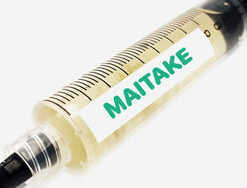 Maitake Liquid Culture Syringe 10mL