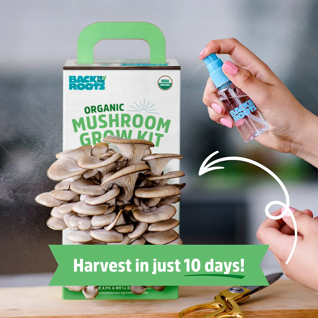 Mushroom Grow Kits