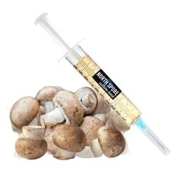 Organic Almond Agaricus Mushroom Liquid Culture Syringe