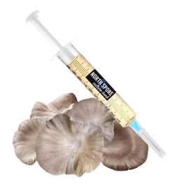 Organic Italian Oyster Mushroom Liquid Culture Syringe