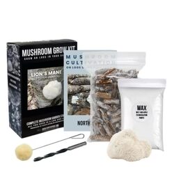 Organic Lion's Mane Mushroom Outdoor Log Growing Kit