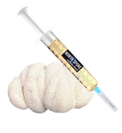Organic Lion's Mane Mushroom Liquid Culture Syringe