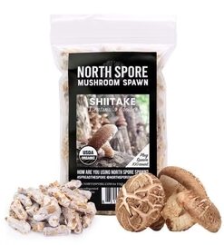 Organic Shiitake Mushroom Plug Spawn