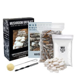 Organic Snow Oyster Mushroom Outdoor Log Growing Kit