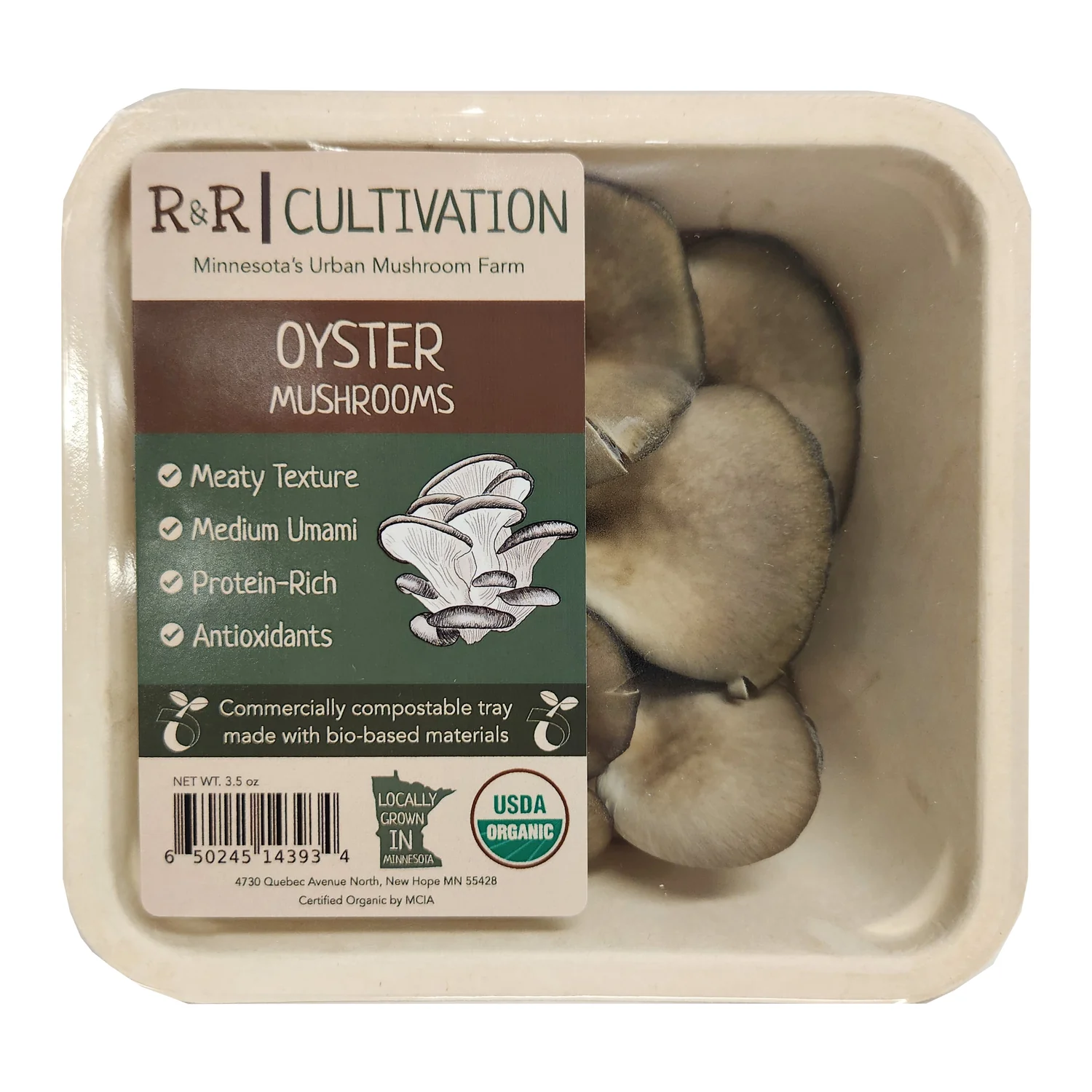 Oyster Mushrooms For Sale