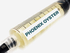 Phoenix Oyster Liquid Culture Syringe 10mL