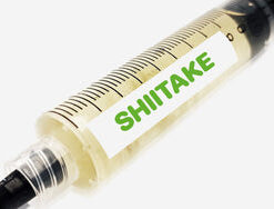 Shiitake Liquid Culture Syringe 10mL