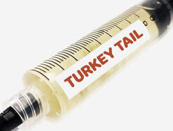 Turkey Tail Liquid Culture Syringe 10mL
