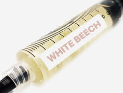 White Beech Liquid Culture Syringe 10mL