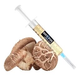 Organic Shiitake Mushroom Liquid Culture Syringe