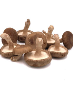 Shiitake Fresh Mushrooms