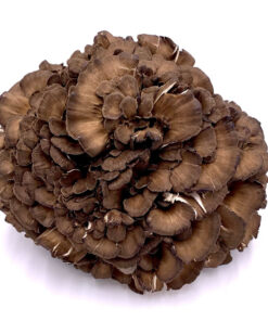 Maitake Fresh Mushrooms