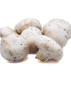 White Button Fresh Mushrooms
