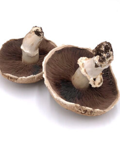 Portabella Fresh Mushrooms
