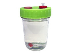 Liquid Culture Solution - Mushroom Liquid Culture Jar - Regular Mouth
