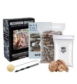 Organic Shiitake Mushroom Outdoor Log Kit