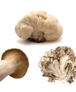 Fresh Mushroom Exotic Sampler, ⅔ lb